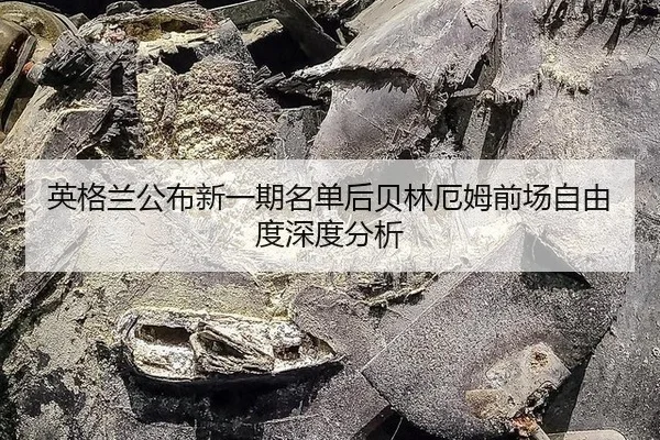 ying-ge-lan-gong-bu-xin-yi-qi-ming-dan-hou-bei-lin-e-mu-qian-chang-zi-you-du-shen-du-fen-xi-2-812.jpg